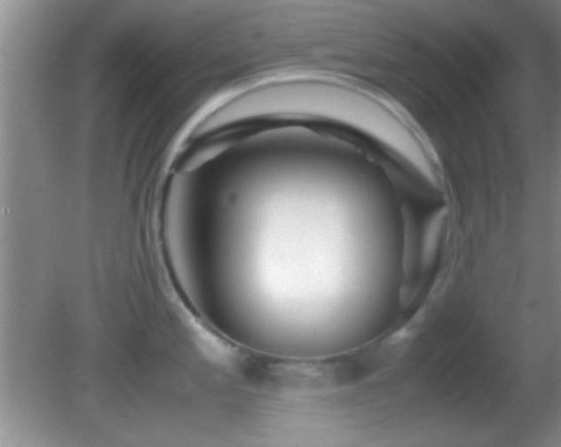 X0000082721197200701261211