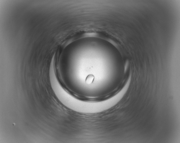 X0000082721202200701261210