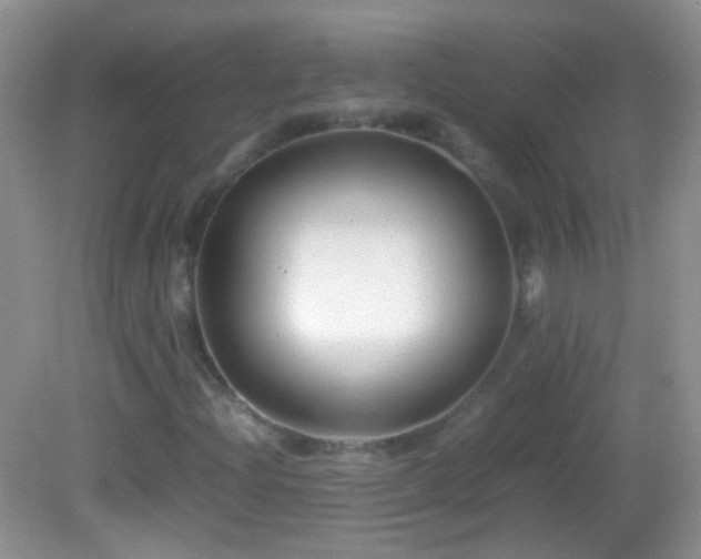 X0000082721204200701261210