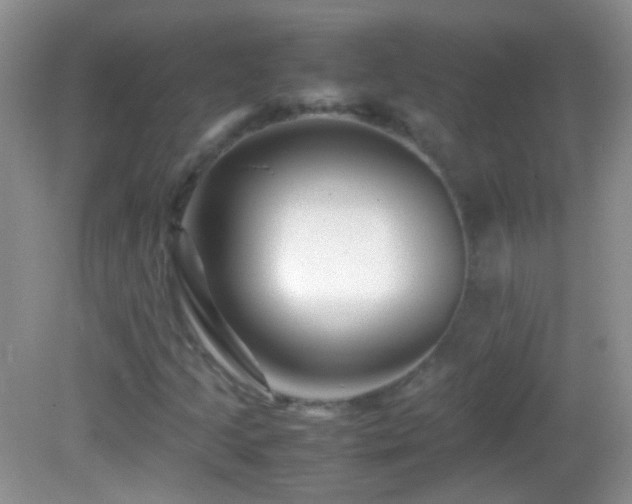 X0000082721205200701261210