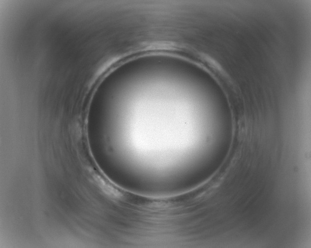 X0000082721212200701261210