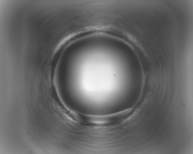 X0000082721214200701261210