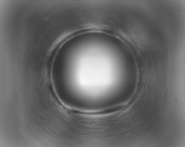 X0000082721215200701261210