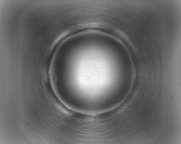X0000082721218200701261210