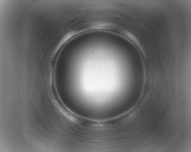 X0000082721227200701261210