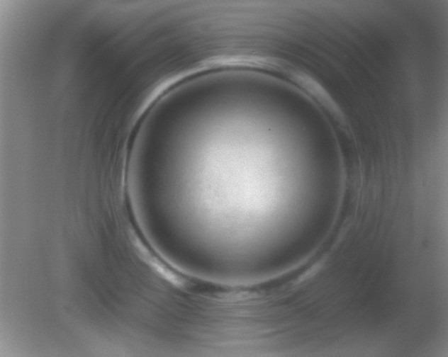 X0000082721228200701261210