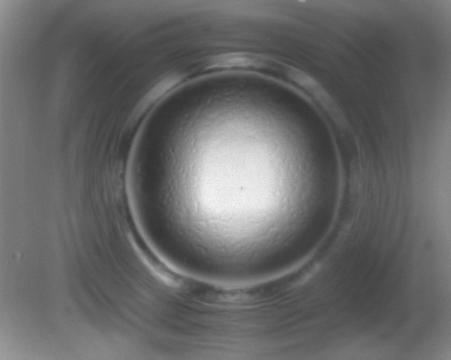 X0000082721233200701261210