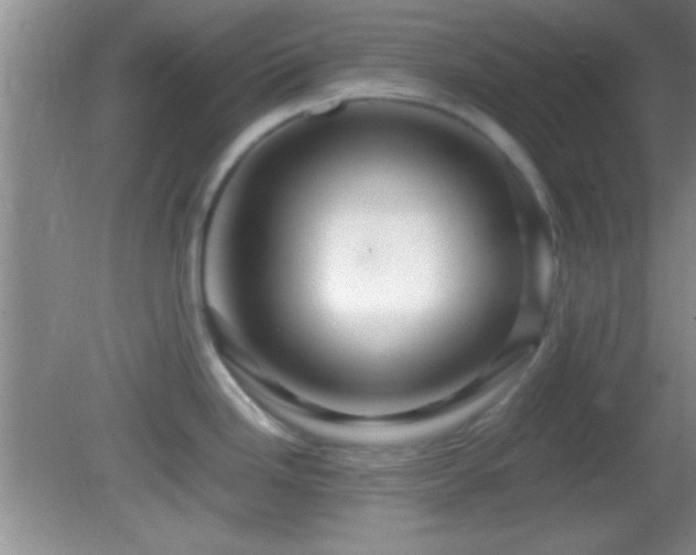 X0000082721246200701261211
