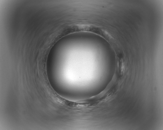 X0000082721249200701261210