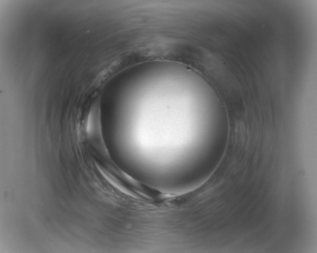 X0000082721250200701261210