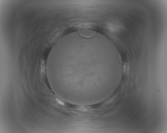 X0000082721251200701261210
