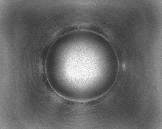 X0000082721252200701261210