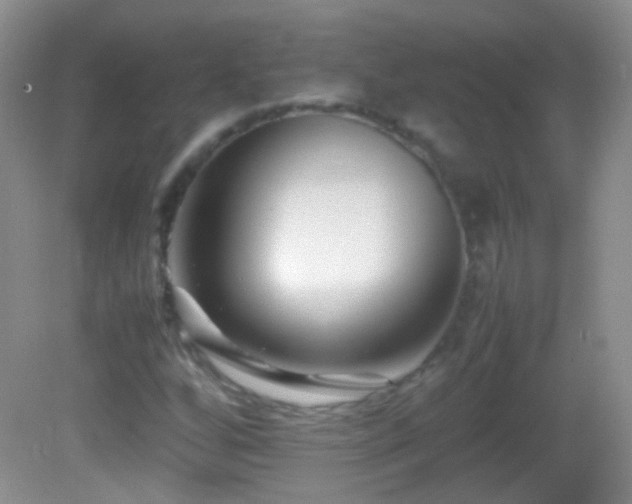 X0000082721256200701261210