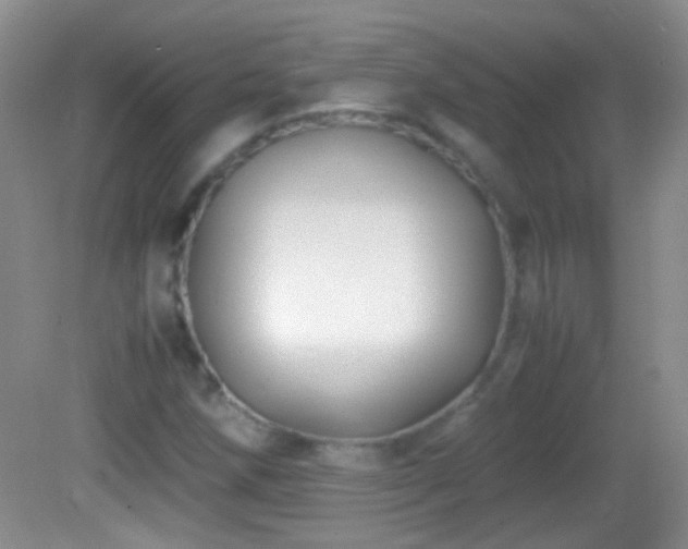 X0000082721258200701261210