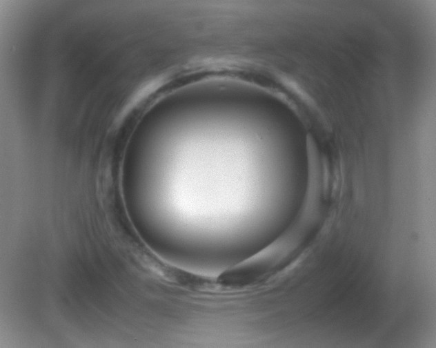 X0000082721261200701261210