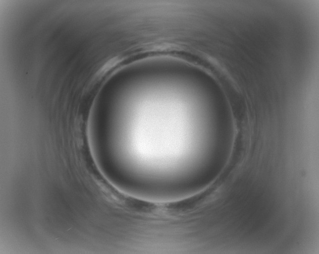 X0000082721265200701261210