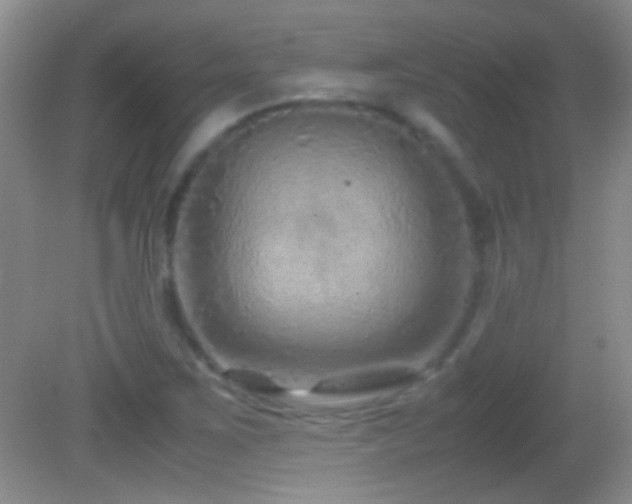 X0000082721267200701261210