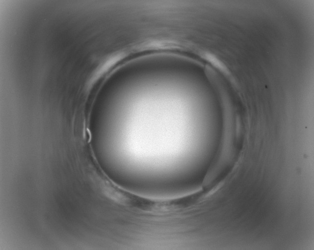 X0000082721269200701261210