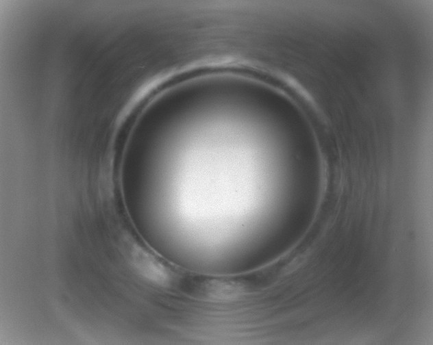 X0000082721270200701261210