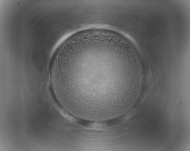 X0000082721271200701261210