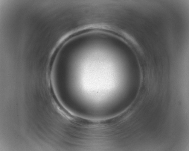 X0000082721272200701261210