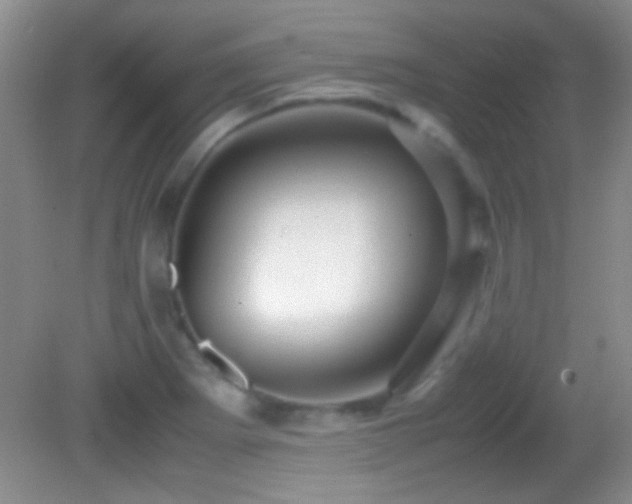 X0000082721273200701261210