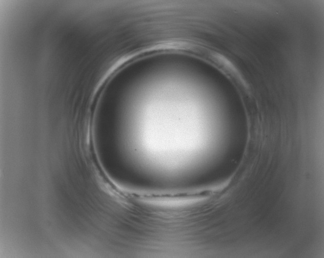 X0000082721276200701261209