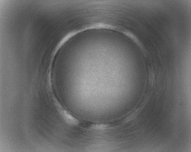 X0000082721278200701261209