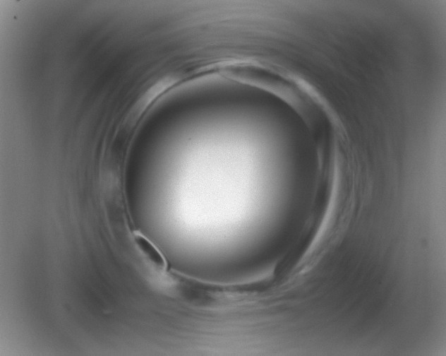 X0000082721281200701261209