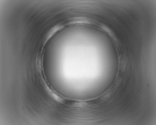 X0000082721282200701261209
