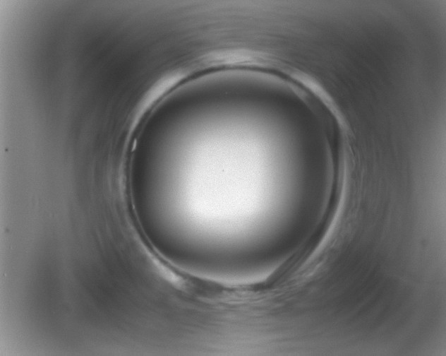 X0000082721285200701261209