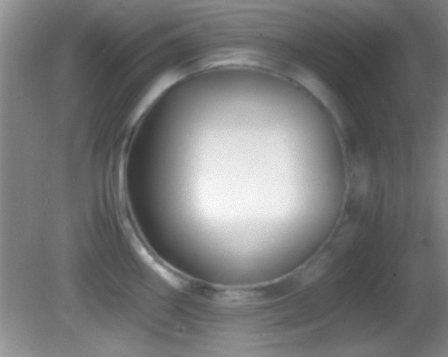 X0000082721290200701261209