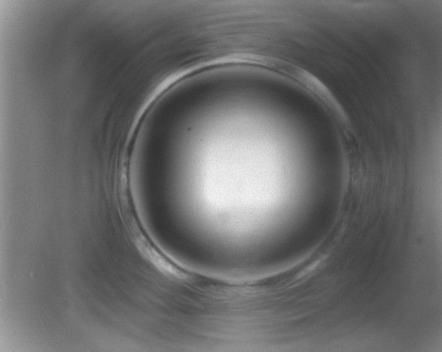 X0000082721292200701261209