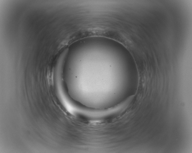 X0000082721298200701261208