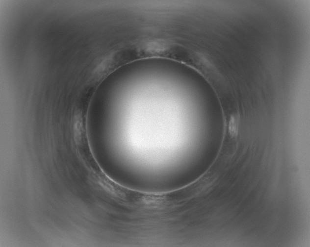 X0000082721299200701261208