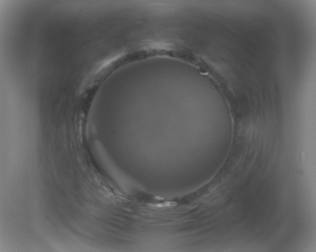 X0000082721303200701261208
