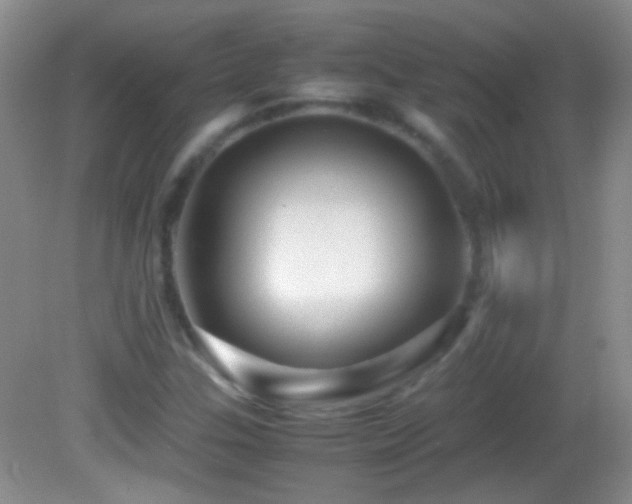 X0000082721307200701261209
