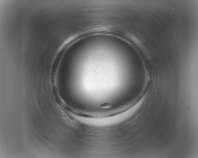 X0000082721308200701261209