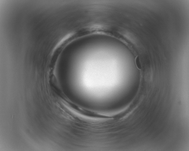 X0000082721309200701261209