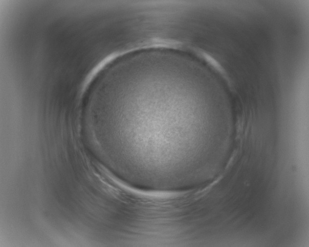 X0000082721310200701261209