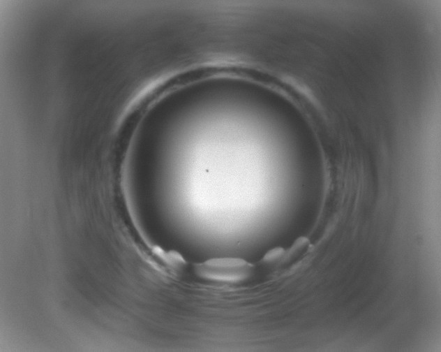 X0000082721311200701261209