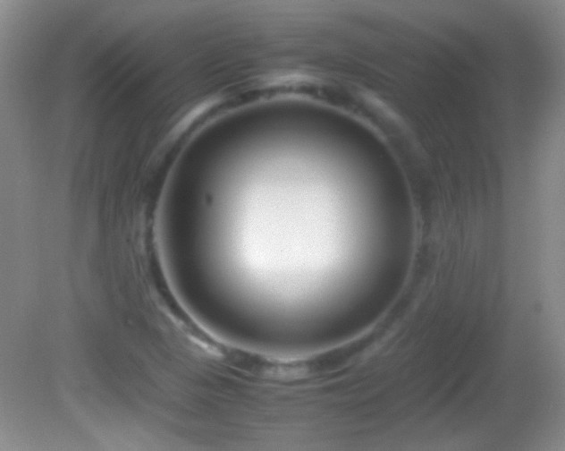 X0000082721313200701261209