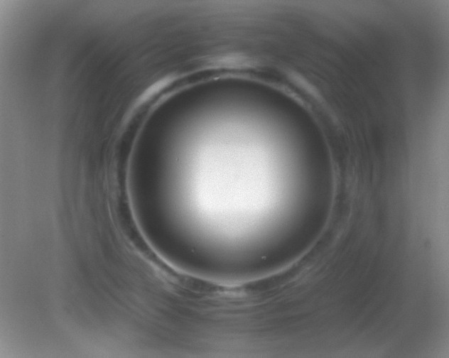 X0000082721315200701261209