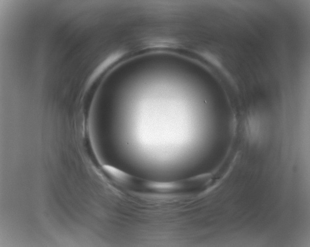 X0000082721317200701261209