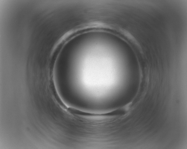 X0000082721318200701261209