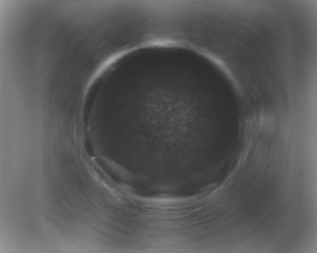 X0000082721319200701261209