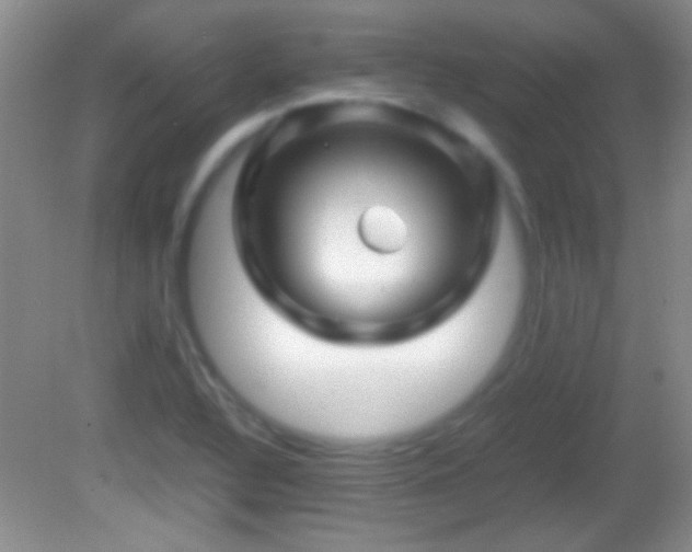 X0000082721320200701261209