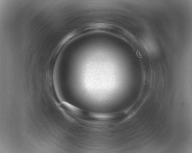 X0000082721321200701261209