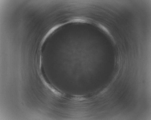 X0000082721323200701261209