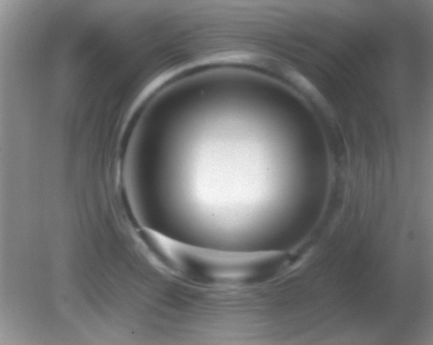 X0000082721324200701261209